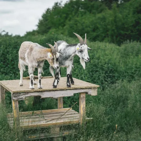 Feriebyens * Rødvig
